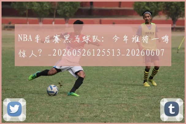 NBA季后赛黑马球队：今年谁将一鸣惊人？_20260526125513_20260607160136